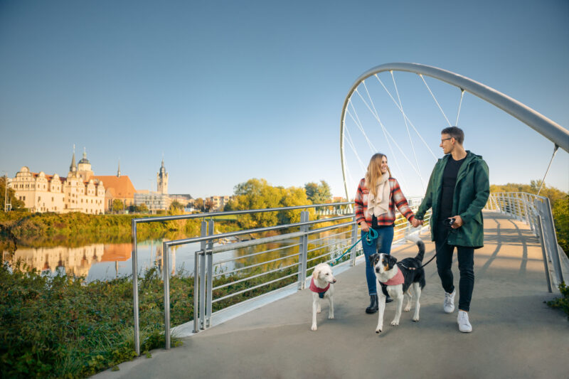 Pärchen spaziert mit seinen Hunden über Brücke in Dessau